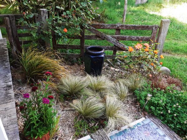 Landscape-design-Central-Hawkes-Bay-Ongaonga-Bee-Haven-Gardens