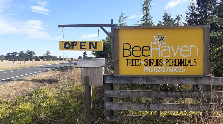 Bee-Haven-Nursery-Ongaonga
