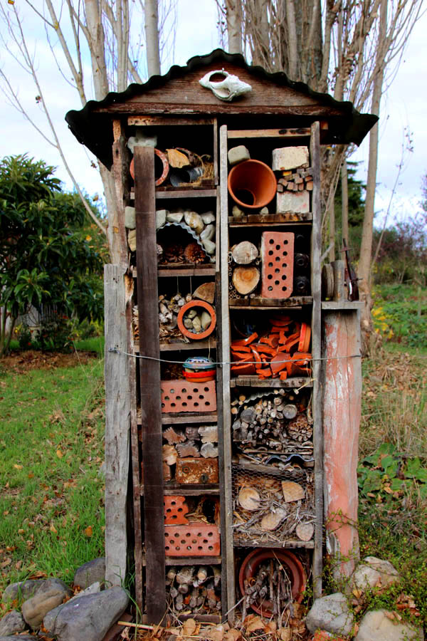 Insect hotel Bee Haven Gardens Ongaonga