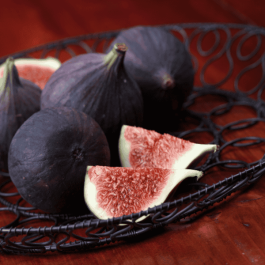 Ficus carica 'Black Mission'